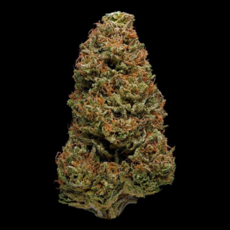 Fleur CBD pas cher Harlequin 15,9%