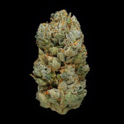 Cannatonische CBD-Blüte 21,2%.