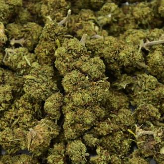 Fleur CBD Mimosa 23%