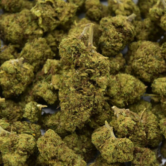 Fleur CBD Orangello 18%