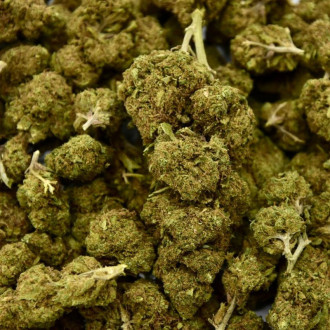 Fleur CBD Mandarine 19%
