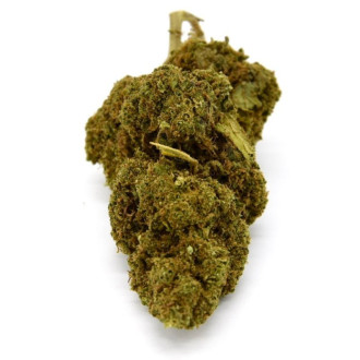 Fleur CBD Mandarine 19%