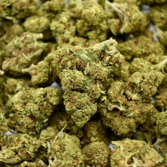 Fleur CBD White Berry 19%