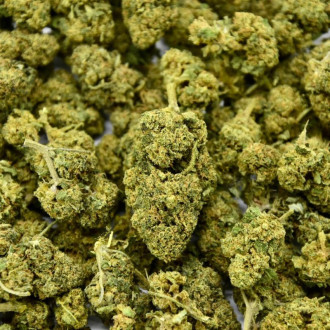 Fleur CBD El Patron 22%