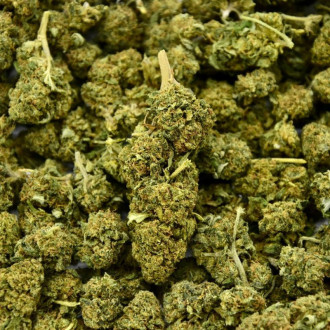Fleur CBD Watermelon 21%