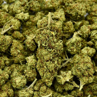 Fleur CBD Honey Cream 21%
