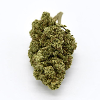 Fleur CBD Honey Cream 21%