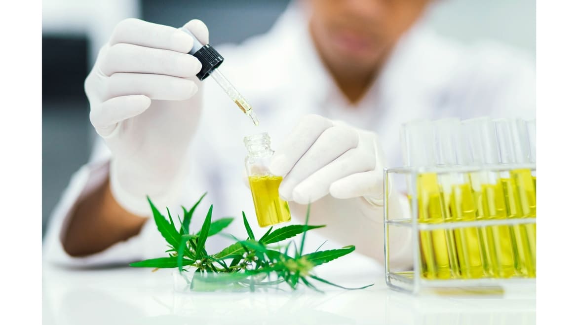 How to choose a quality CBD oil?