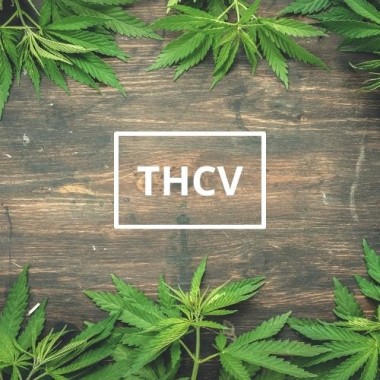 thcv-guide