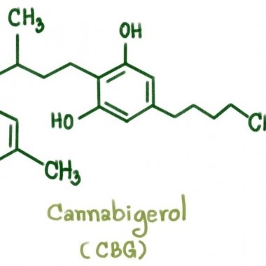 cbg cannabigerol