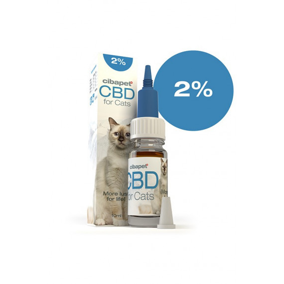 Olej CBD dla kotów 2%.