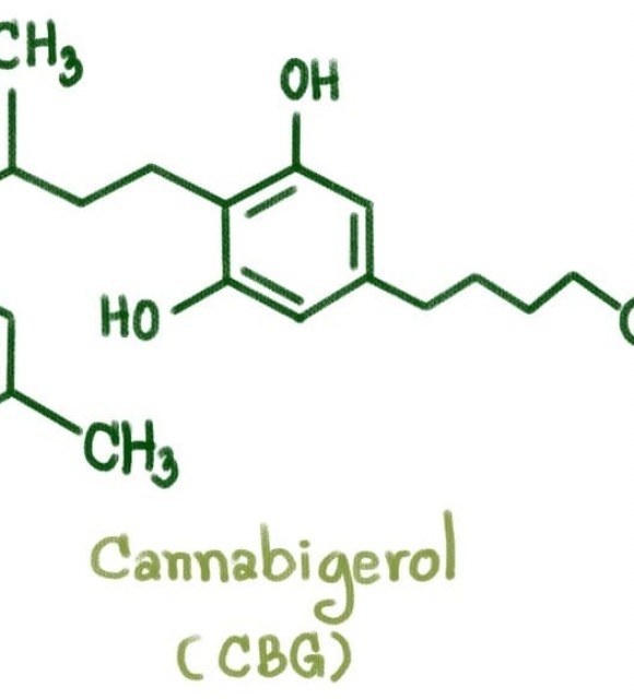 cbg cannabigerol